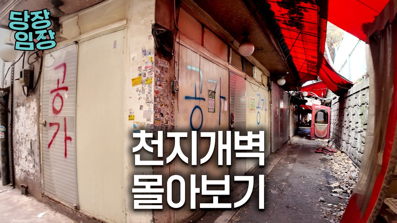 긁지 않은 복권들 | 당장! 임장 몰아보기