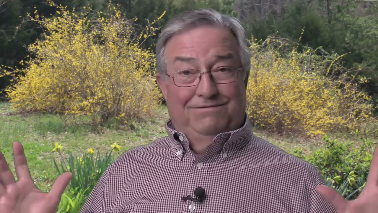 Build a Winning Trading Psychology Mindset