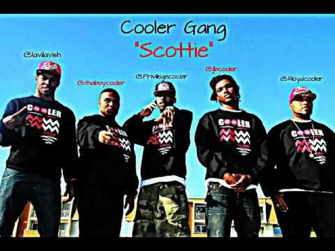 Cooler Gang- Scottie