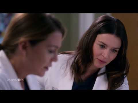 Greys Anatomy 13x23   Meredith and Amelia