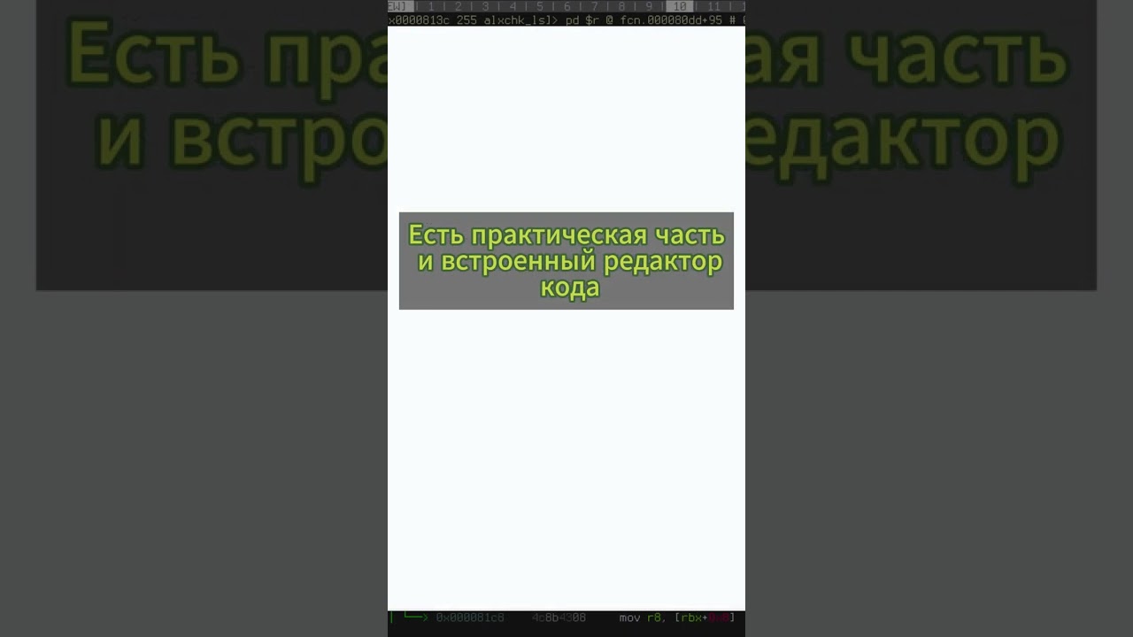 ТОП для начинающих ПРОГРАММИРОВАНИЕ С НУЛЯ!