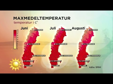 Då ska du ta semester - Nyhetsmorgon (TV4)