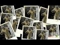 Photographic Proof Finding Bigfoot Rejected Evidence