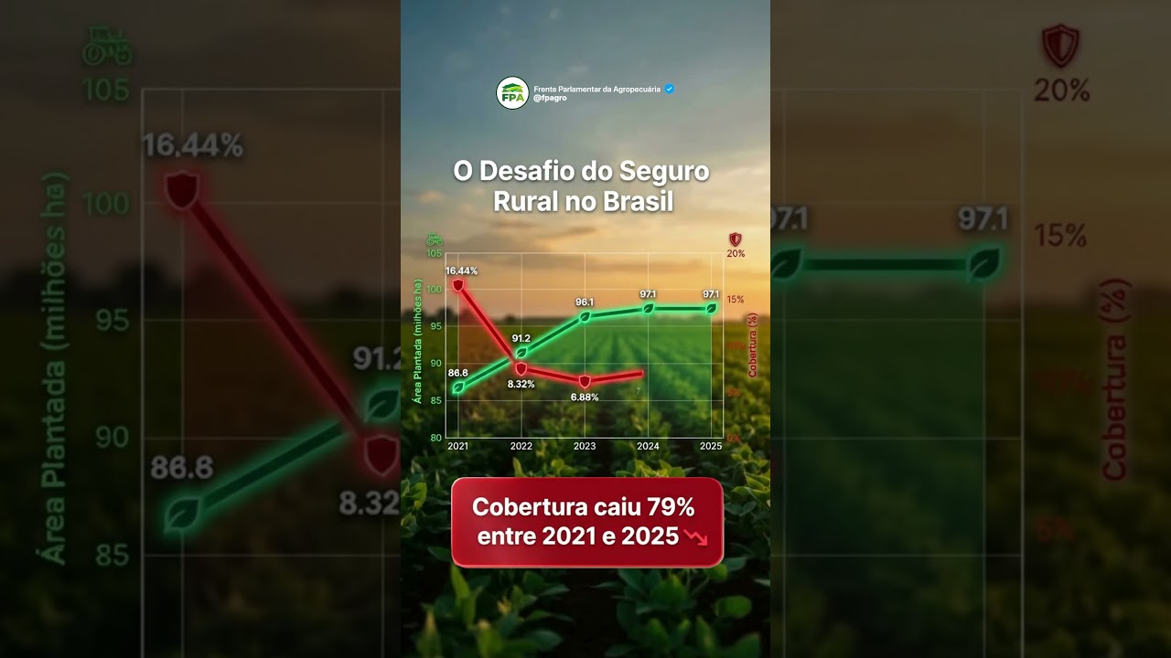 O Brasil bate recordes de produção, mas abandona quem produz.