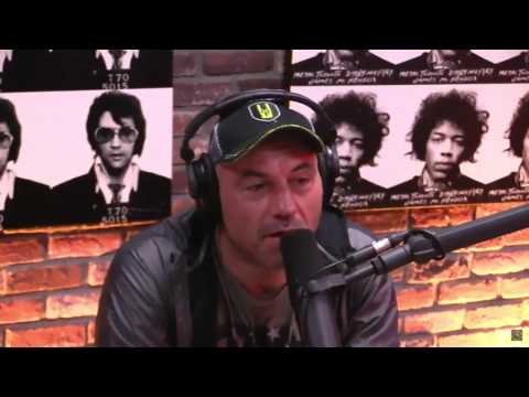 Joe Rogan and Steve O on Jackass and Wildboyz Movies