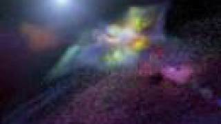 Butterfly: The Mysteries of Transformation