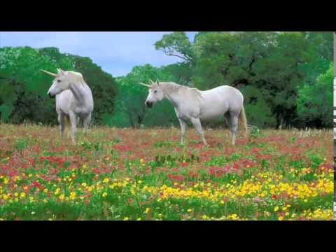 Andy Duguid feat Jaren - 7even