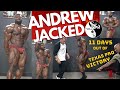 New IFBB Pro Champion Andrew Jacked - Posing session with Coach Flex Wheeler, 11 days out Texas Pro