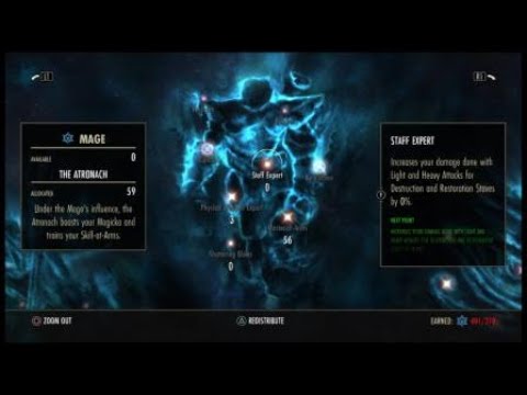 Stamwarden DPS Test 49k