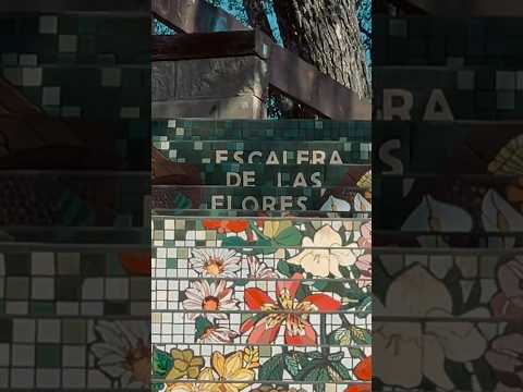🌸 CIRCUITO DE LAS ESCALERAS: ARTE URBANO Y VISTAS AL PARANÁ EN SAN PEDRO