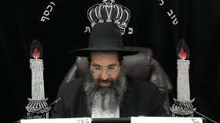 הלכות צדקה - כט' - בטעות ובנותר 💰 יורה דעה - סימן רנג | חלק 392 | הרב שי עובד (הרב שי עובד) - התמונה מוצגת ישירות מתוך אתר האינטרנט יוטיוב. זכויות היוצרים בתמונה שייכות ליוצרה. קישור קרדיט למקור התוכן נמצא בתוך דף הסרטון