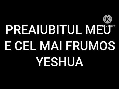 #PREAIUBITUL MEU (cover #PROFIDES)