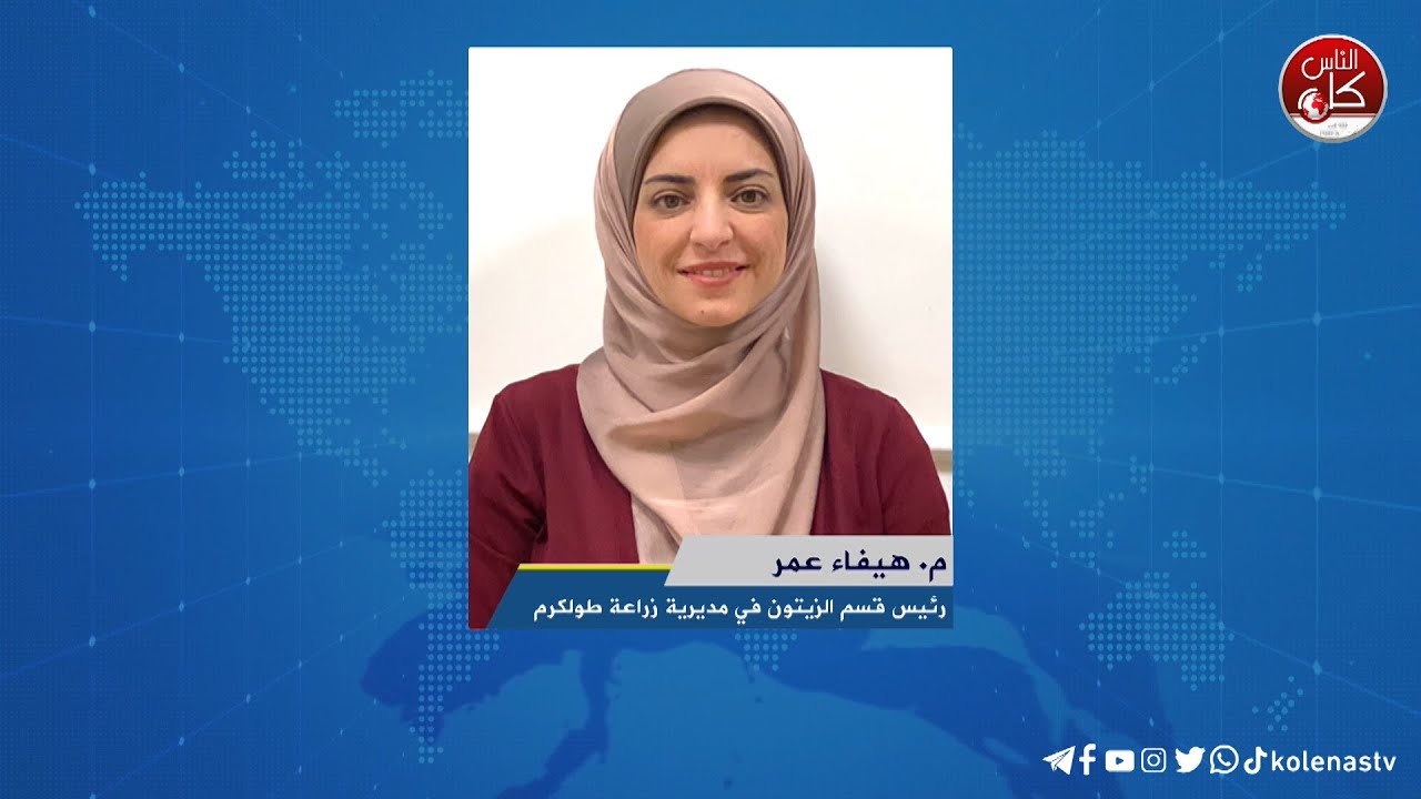 نصائح وارشادات هامة لقطف وتخزين الزيتون واستخراج الزيت