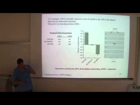 Physiology I 18/5/14