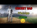 Cricket Sad Whatsapp Status I Miss You Cricket Status