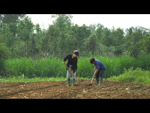Pao has found new arable land: will it help him harvest the crop he desires?