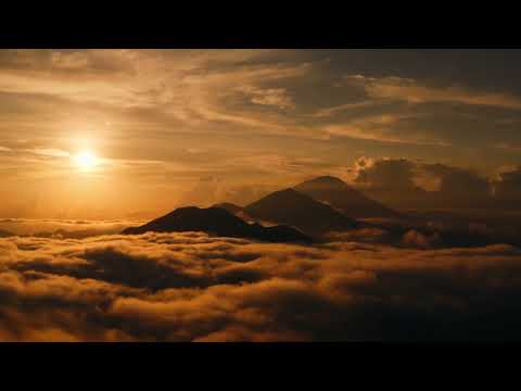 The Wainriders - Chariot Warriors of Middle-earth