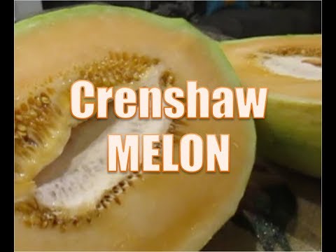 download lagu mp3 mp4 Crenshaw Melon, download lagu Crenshaw Melon gratis, unduh video klip Crenshaw Melon