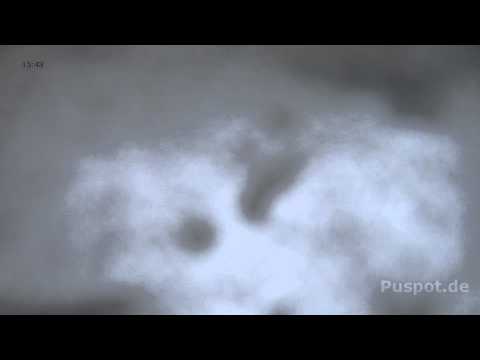 Zeitraffer 2014.01.23 Pulsnitz-Panorama