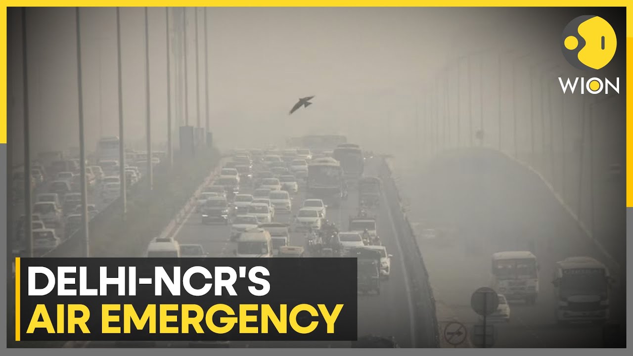 Delhi Pollution: IMD Warns Cold-Wave Like Conditions, Issues Yellow Alert | WION News