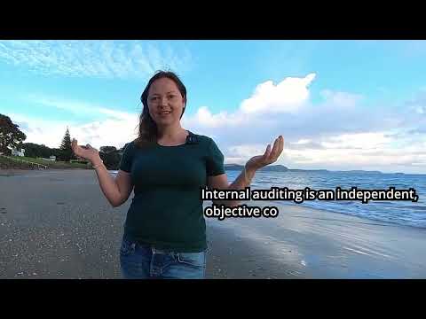 7 days of internal auditor's life in New Zealand