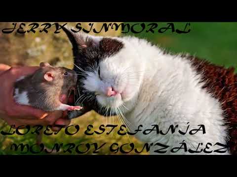 Jerry SinMoral - Loreto Estefanía Monroy González (Prod. Jerry SinMoral)