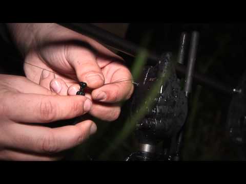 GRATIS DVD! In Session With Fox... Das Gerät, Die Taktiken und...Die Karpfen!