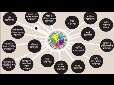বাংলাদেশ নিরাপদ খাদ্য কর্তৃপক্ষের সূচনার পটভূমি