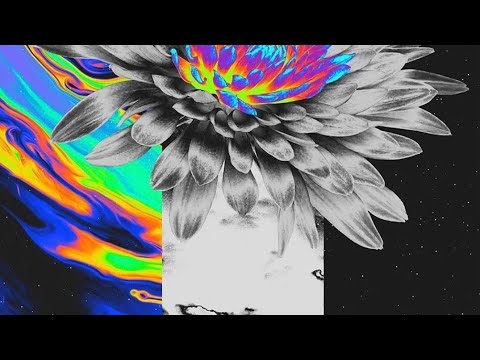 VIBE - DC ft Felon & Fury