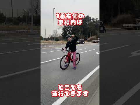 電動自転車の走行:安全性に関する調査結果