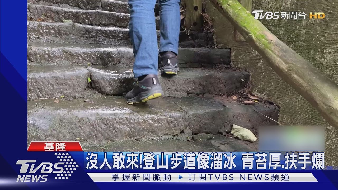 沒人敢來！登山步道像溜冰　青苔厚、扶手爛