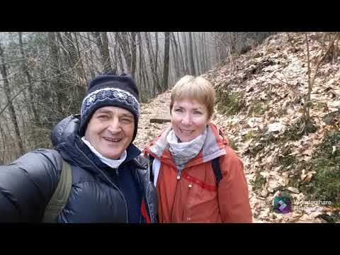 Le Sage Hibou - Sedrina