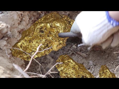 Gold metal detector /Citrine，Treasure hunt in the wild, gold, crystal big harvest