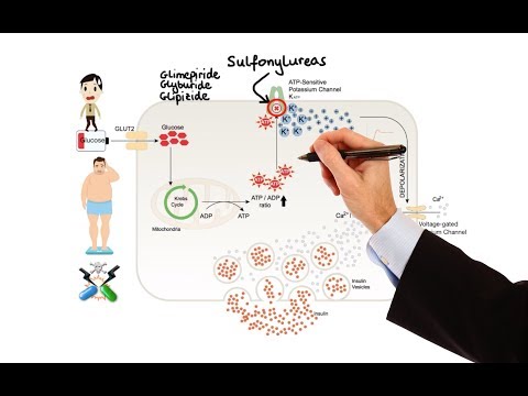 Diabetes németország kezelés költsége