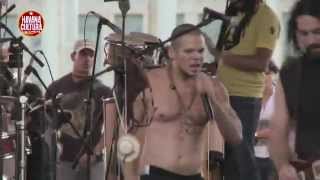 Calle 13 in Havana - 2010