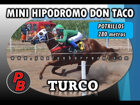 TURCO, MINI HIPODROMO DON TACO - LOS CERRILLOS (11-12-2022)