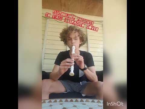 Despacito - Luis Fonsi (Fluting Joep cover)