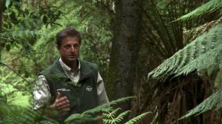 preview picture of video 'About The Great Ocean Walk, Ranger-in-Charge Will Cox'