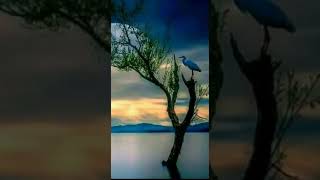 Download lagu Ku tahan cinta yg datang kerana mu mp3