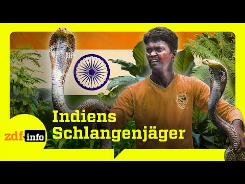 Tödliche Suche nach wertvollem Gift: Die härtesten Orte der Welt (8) | ZDFinfo Doku