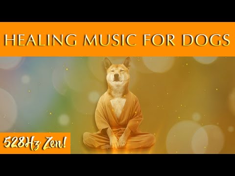 Soothing Healing Music for Dogs 🐶 528Hz to Heal Your Best Friend