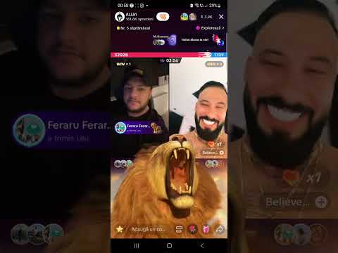 Feraru și Robert Ionescu Manevra