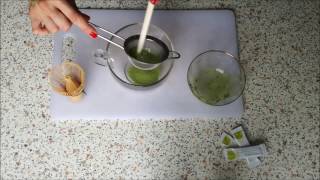 Jak správně si připravit Matcha čaj?