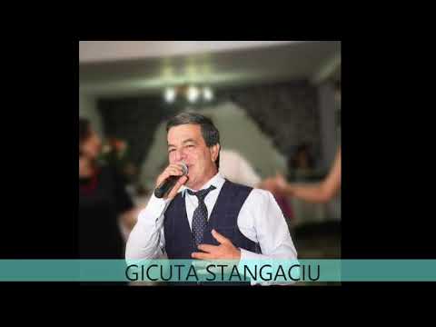 Gica Stangaciu -batranule...de suflet