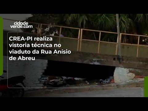 CREA-PI realiza vistoria técnica no viaduto da Rua Anísio de Abreu