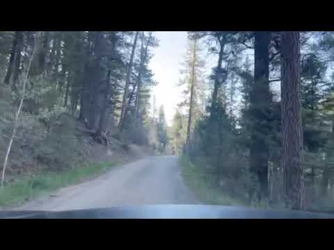 the road