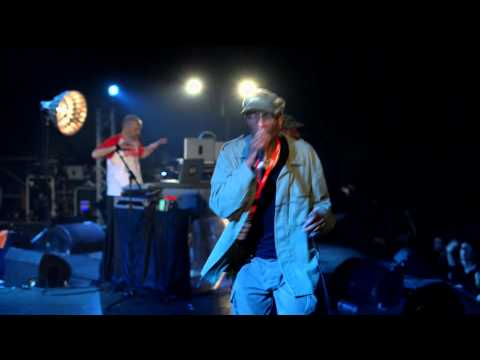 Brain Damage / Vibronics Live at Telerama Dub Festival vol 11