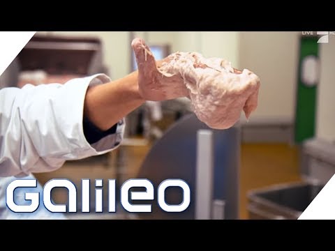 Arbeiten in einer Wurstfabrik - so hart ist der Job wirklich! | Galileo | ProSieben