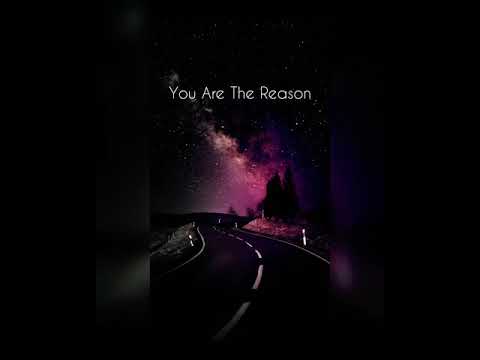 Calum Scott - You Are The Reason (Cover)