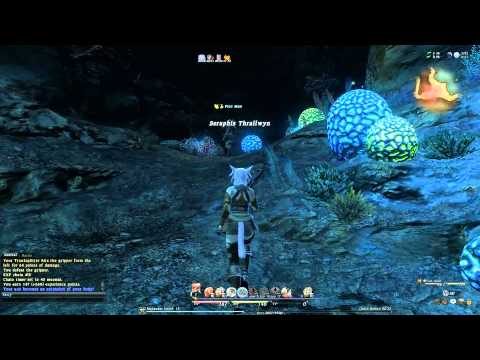 Let's Play - Final Fantasy XIV - Part 30 - Shposhae Dungeon